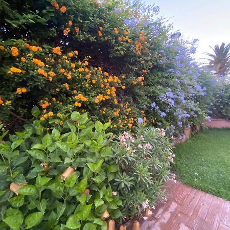 Apartamento Jardin Sanlucar Sanlúcar de Barrameda Екстериор снимка